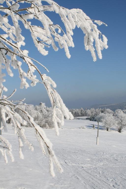 Ferienhaus Am Skihang Altenberg Екстер'єр фото
